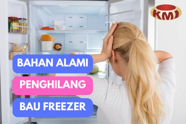 Tips Praktis: Cara Alami dan Efektif Menghilangkan Bau Amis di Freezer